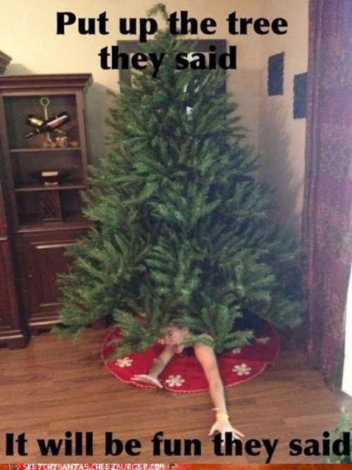 Tree You Later, Bro Memebase Funny Memes