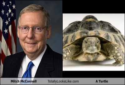 Mitch McConnell Totally Looks Like a Turtle - Totally Looks Like