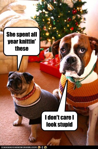 I Has A Hotdog - christmas sweaters - Funny Dog Pictures | Dog Memes