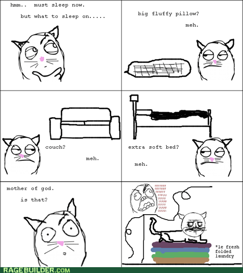 Cat Logic - Rage Comics - rage comics