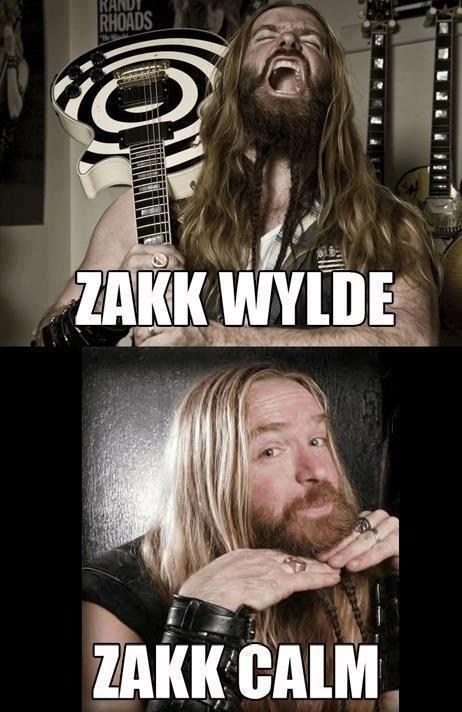 Music Zakk Wylde Music Fails Cheezburger