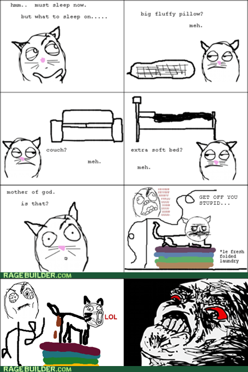 Re-Raged: Cat Logic - Rage Comics - rage comics