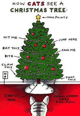 How Cats See A Christmas Tree - I Can Has Cheezburger?