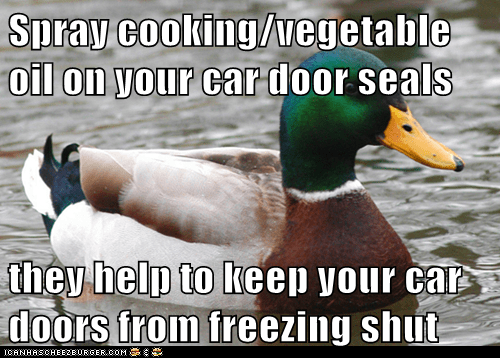 Spray Cooking Vegetable Oil On Your Car Door Seals They Help To