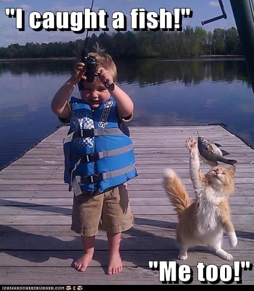 "I caught a fish!" Lolcats lol cat memes funny cats funny cat