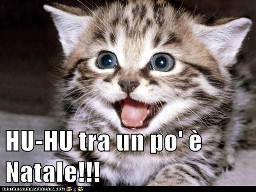 E Natale.Hu Hu Tra Un Po E Natale Lolcats Lol Cat Memes Funny Cats Funny Cat Pictures With Words On Them Funny Pictures Lol Cat Memes Lol Cats