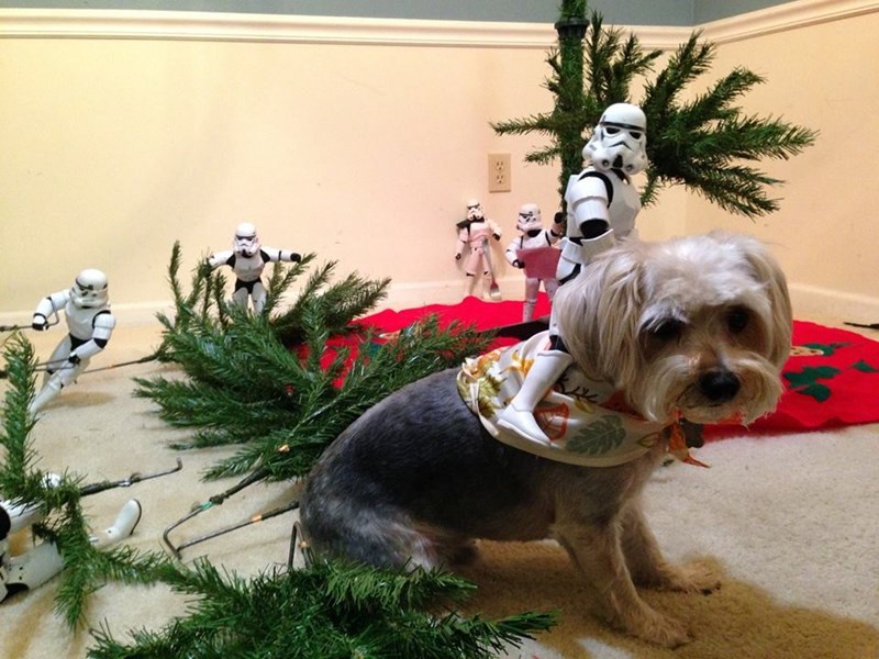 xmas stormtrooper