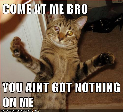 Come At Me Bro You Aint Got Nothing On Me Lolcats Lol