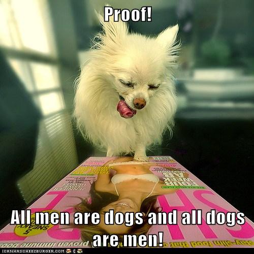 Proof All Men Are Dogs And All Dogs Are Men I Has A Hotdog Dog Pictures Funny Pictures Of Dogs Dog Memes Puppy Pictures Doge dogs dog memes puppy pictures doge