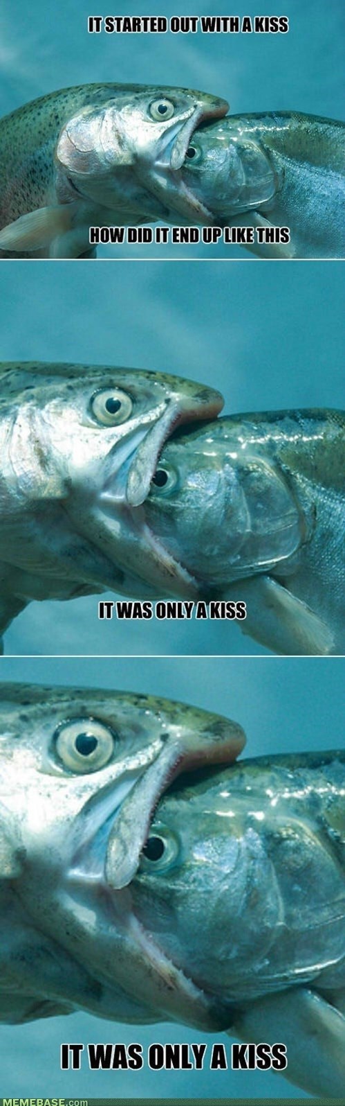 Mr. Brightfish - Memebase - Funny Memes