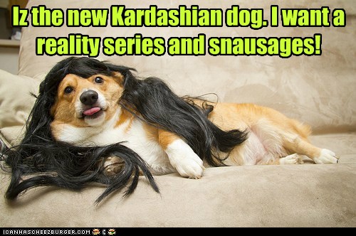 Corgi Kardashian I Has A Hotdog Dog Pictures Funny Pictures