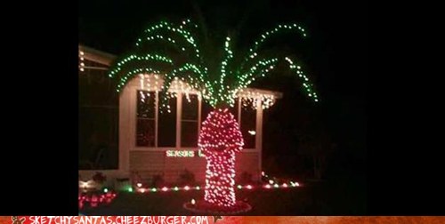 Christmas Palm Tree Fail - Memebase - Funny Memes