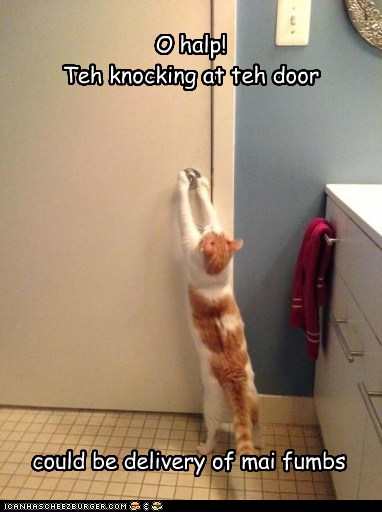 O Halp Teh Knocking At Teh Door Lolcats Lol Cat Memes