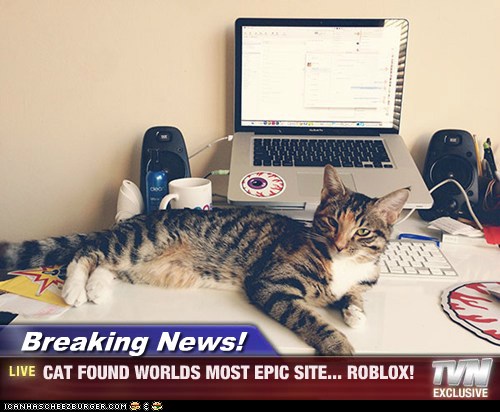 Breaking News Cat Found Worlds Most Epic Site Roblox Lolcats Lol Cat Memes Funny Cats Funny Cat Pictures With Words On Them Funny Pictures Lol Cat Memes Lol Cats - roblox breaking news