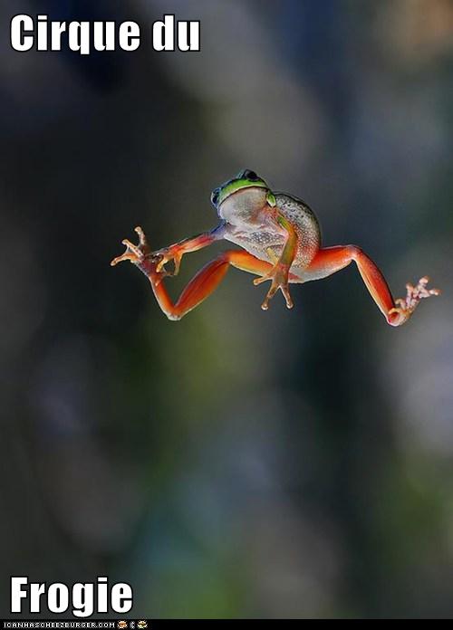 Cute Frogs: 11 Cute Frogs That Will Make You Happy - I Can Has Cheezburger?