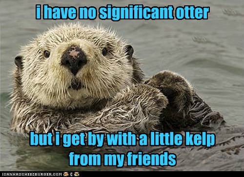 Animal Comedy - sea otters - Animal Comedy - Animal Comedy, funny ...