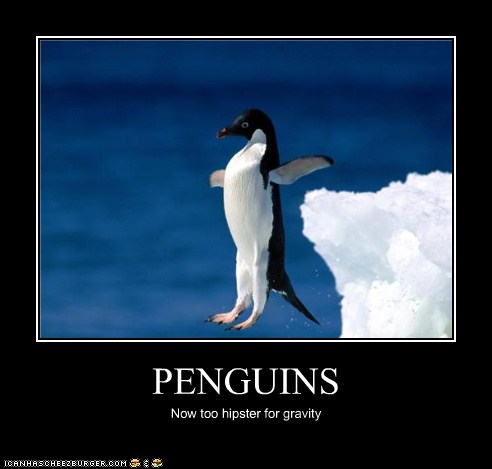 Penguins - Animal Comedy - Animal Comedy, funny animals, animal gifs