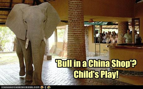 Animal Comedy China Animal Comedy Animal Comedy Funny