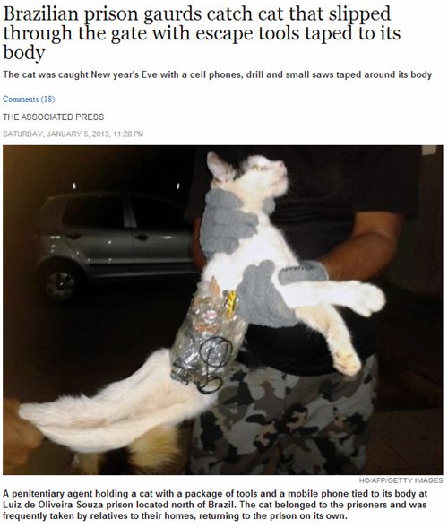 Cat BurglarHelper FAIL Nation Vintage FAILs of the Epic Variety