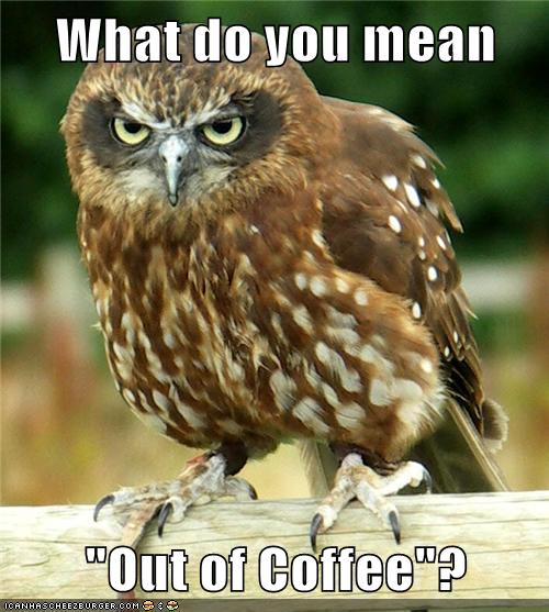 What do you mean &quot;Out of Coffee&quot;? - Animal Comedy - Animal Comedy