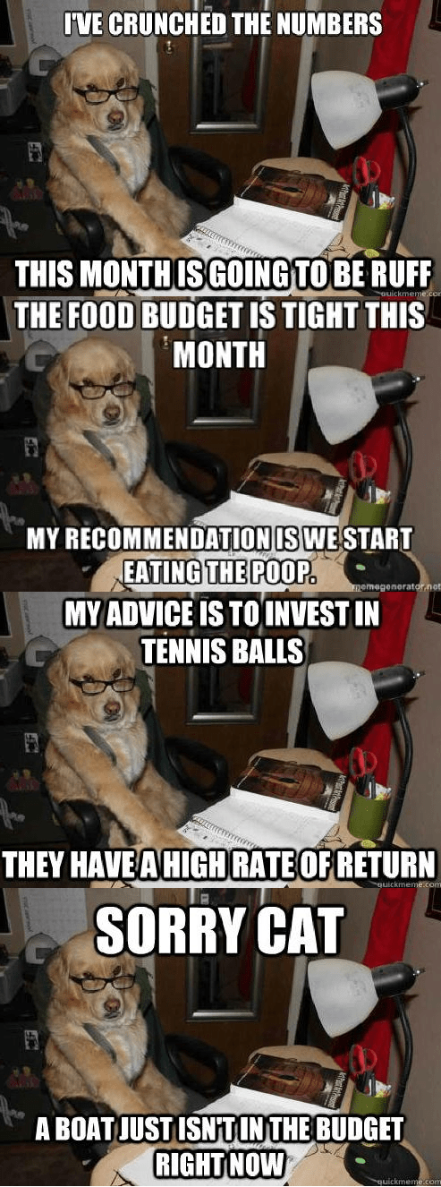 Financial Advice Dog is Ready for Tax Season - I Can Has ...