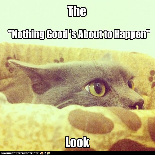 Iz Jus a Matter ob Time - Lolcats - lol | cat memes | funny cats ...