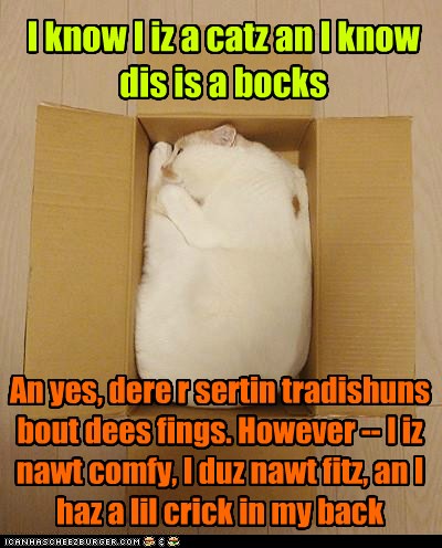 Sumbuddy Order Sum Big Fing Thru da Mail -- Stat! - Lolcats - lol | cat ...