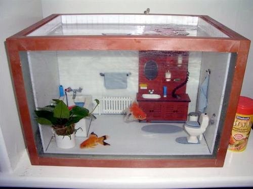 Cute fish outlet tanks