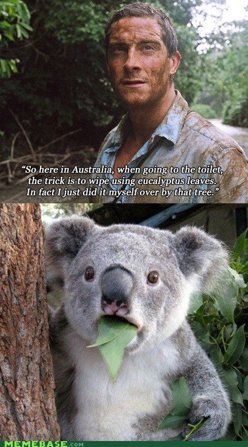 You Mean That Wasn't Vegemite?
