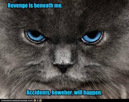 Revenge is Beneath Me... - Lolcats - lol | cat memes | funny cats ...