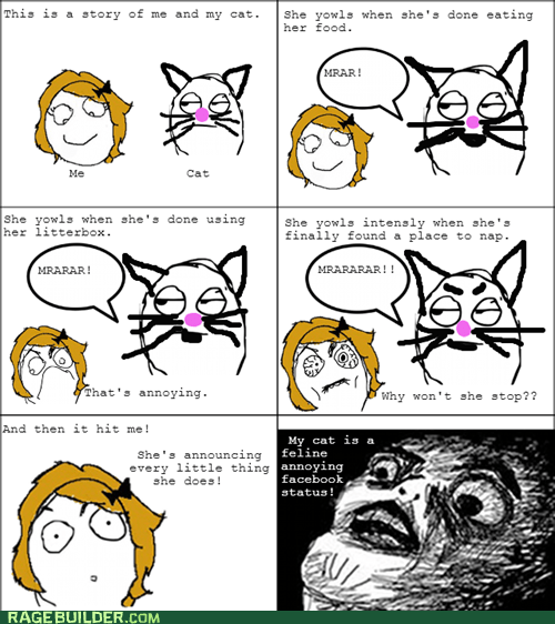 Annoying Facebook Cat - Rage Comics - rage comics