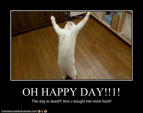 OH HAPPY DAY!!1! - Cheezburger - Funny Memes  Funny Pictures