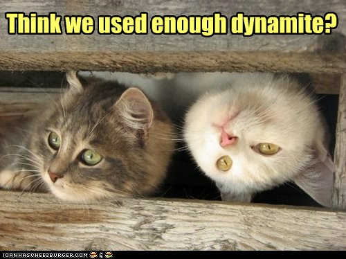 Too Much And It Might Blow Up In Our Face Lolcats Lol Cat Memes 