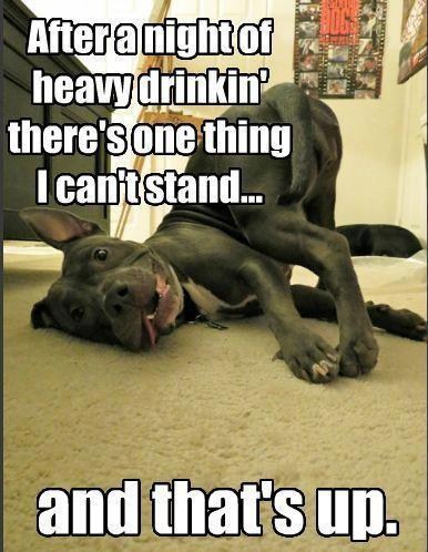 Please, Let Me Lay Here In Drunken Peace - After 12 - funny pictures ...