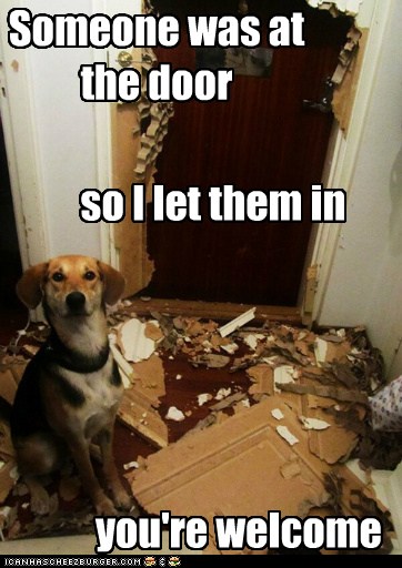 Dog Logic Has it's Flaws - I Has A Hotdog - Dog Pictures - Funny ...