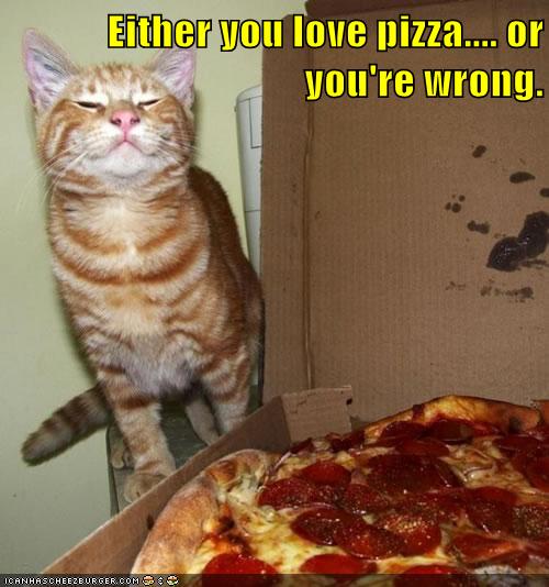 Pizza is a Great Judge of Character - Lolcats - lol | cat memes | funny ...