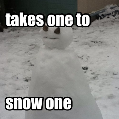 Puns - snow - Funny Puns - Pun Pictures - Cheezburger