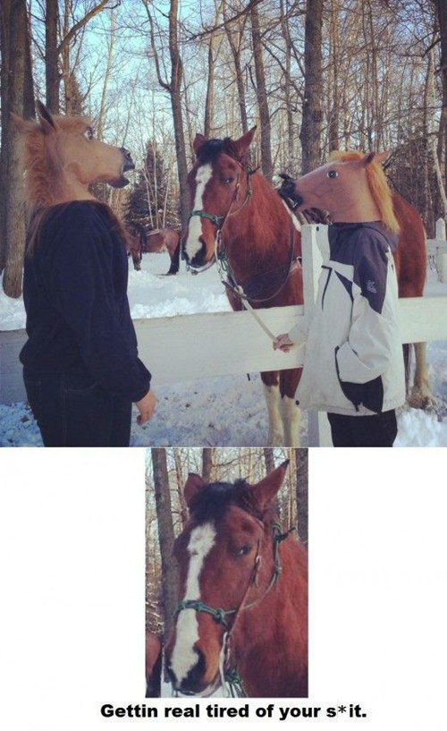 Poorly Dressed - horse mask - fashion fail - Cheezburger