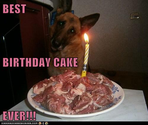 Dog meat birthday clearance cake