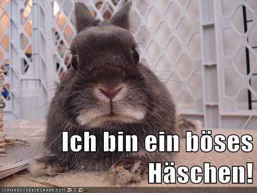 Get Haeschen Free HD