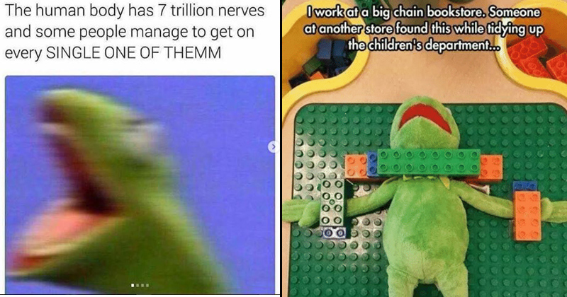 Featured image of post Kermit Funny Frog Meme / It will be published if it complies with the content rules and our moderators approve it.