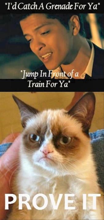 Music - Grumpy Cat - Music FAILS - Cheezburger