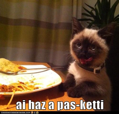 Thank You for Dinner! - Lolcats - lol | cat memes | funny cats | funny