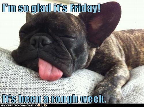 I'm so glad it's Friday! It's been a rough week. - I Has A Hotdog - Dog ...