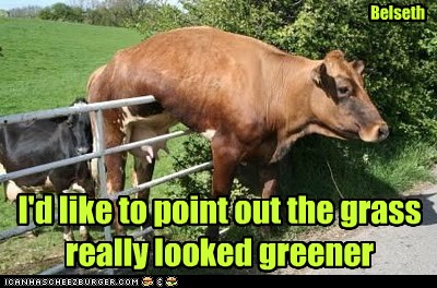 I'd like to point out the grass really looked greener - Animal Comedy ...