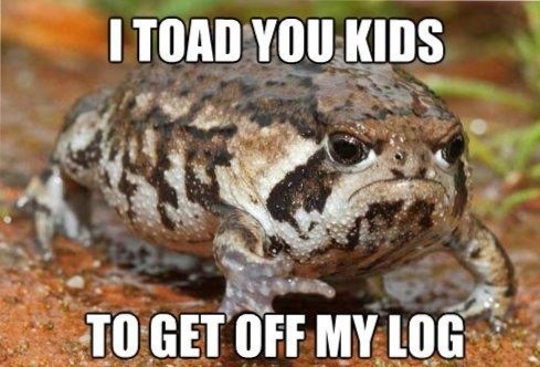 Puns Toad Funny Puns Pun Pictures Cheezburger