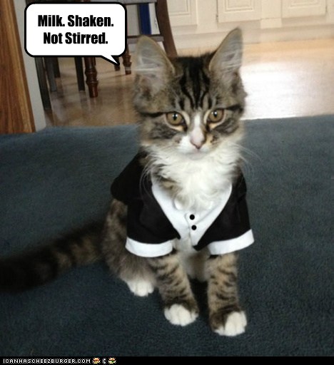 James Bond's Cat - Lolcats - lol | cat memes | funny cats | funny cat
