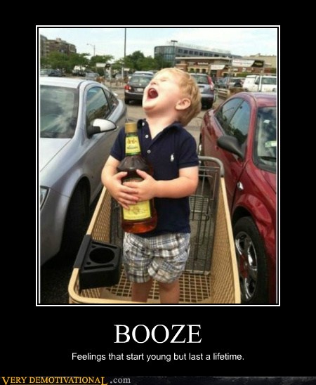 Hooray for Booze - Very Demotivational - Demotivational Posters | Very