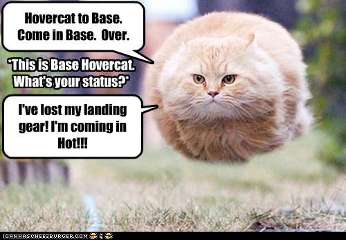 Hovercat to Base. Come in Base. Over. - Cheezburger - Funny Memes ...