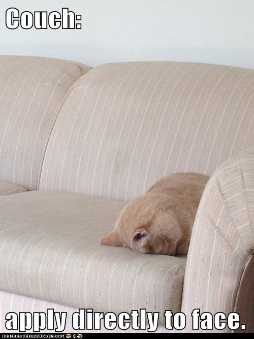 When You Overhear Someone's Dumb Comment... Lolcats lol cat memes funny cats funny cat